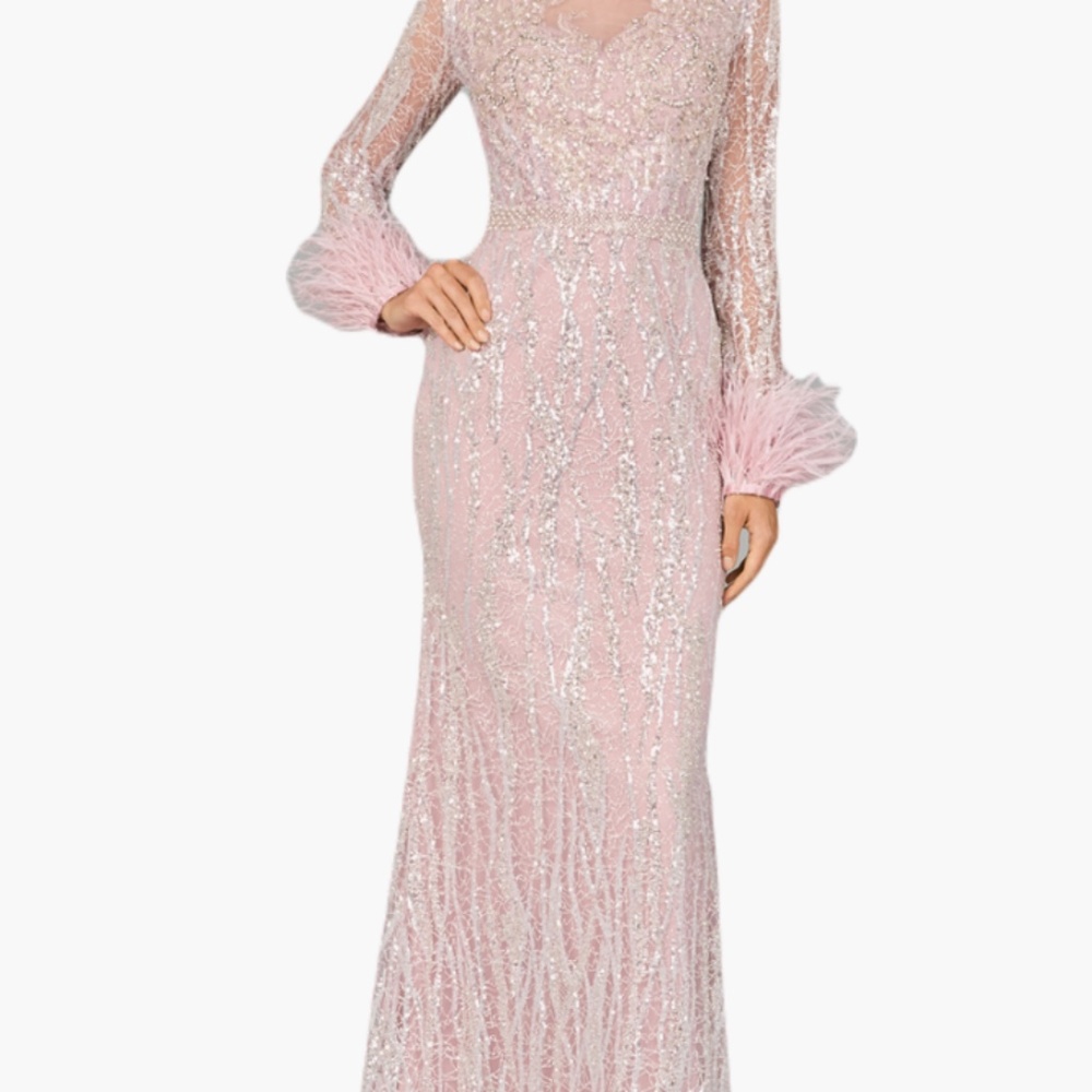 Lara feather sleeve gown
